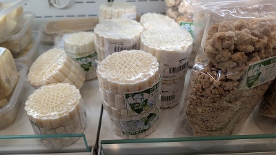 モンゴル海外ボランティア